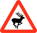 Wild animals ahead