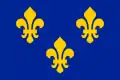 Coat of Arms of the Kingdom of France