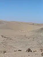 A travelling barchan dune in Sperrgebiet