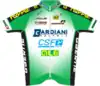 Green Project–Bardiani–CSF–Faizanè jersey
