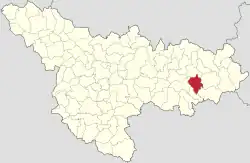 Location in Timiș County