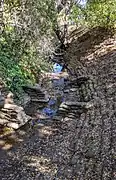 Barron Creek leaving its tunnel across Gunn High School, flowing into the open natural channel portion in Barron Park, Palo Alto