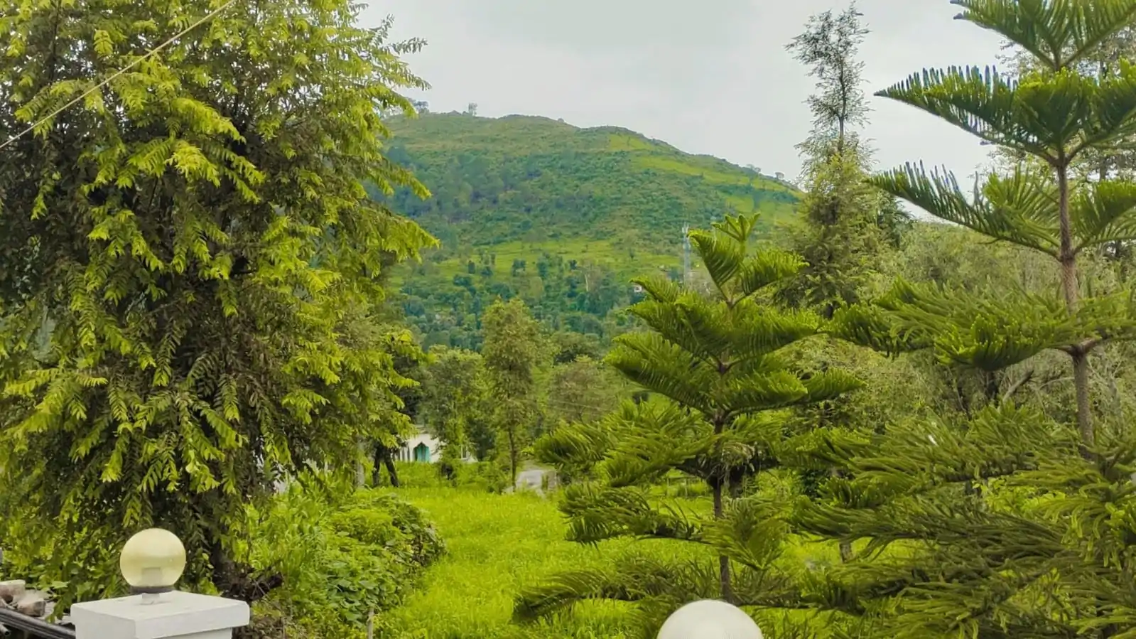 Beauty of Village Salwah, Mendhar Poonch (J&K)