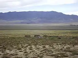 A foundation in Newhouse