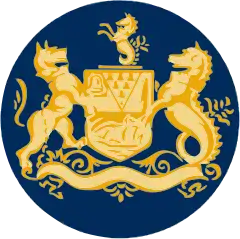 Version used in the logo of the City Council