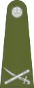 Brigadier