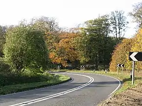 Bend on the A339 - geograph.org.uk - 73532.jpg
