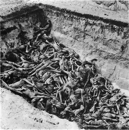 Image 6The bodies of the dead lie awaiting burial in a mass grave at the camp. (Bergen-Belsen concentration camp)