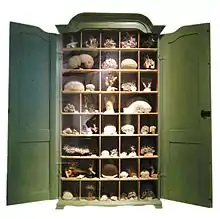 Image 9An early 18th-century German Schrank with a traditional display of corals, from the Naturkundemuseum, Berlin