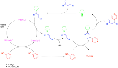 Diagram of Photoredox beta-arylation of aldehydes