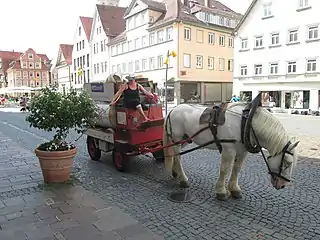 Horse wagon, with metal water tank, for irrigation, 2018. The illustration shows regular wheels with tires, instead of traditional wagon wheels