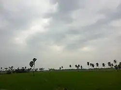 Bhairavapentapadu, Pentapadu Mandal, West Godavari District