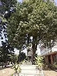 Statue of Bhanubhakta Acharya at Nepal Academy