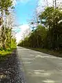 State Road 94 in Big Cypress
