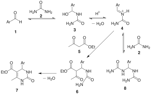 Biginelli reaction mechanism