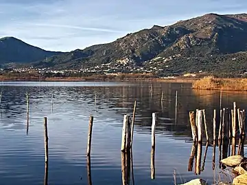 Looking west across the lagoon. The poles anchor capétchade traps.
