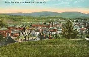 Bird's-eye view from Pikes Hill c. 1912