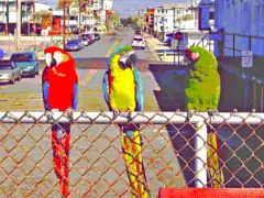 EGA 640&nbsp;×&nbsp;350&nbsp;×&nbsp;16 colors, EGA palette.