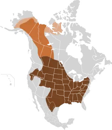 Original distribution of plains bison and wood bison in North America along the "great bison belt". Holocene bison (Bison occidentalis) is an earlier species at the origin of plains bison and wood bison. .mw-parser-output .legend{page-break-inside:avoid;break-inside:avoid-column}.mw-parser-output .legend-color{display:inline-block;min-width:1.25em;height:1.25em;line-height:1.25;margin:1px 0;text-align:center;border:1px solid black;background-color:transparent;color:black}.mw-parser-output .legend-text{}&nbsp;&nbsp;Holocene bison.mw-parser-output .legend{page-break-inside:avoid;break-inside:avoid-column}.mw-parser-output .legend-color{display:inline-block;min-width:1.25em;height:1.25em;line-height:1.25;margin:1px 0;text-align:center;border:1px solid black;background-color:transparent;color:black}.mw-parser-output .legend-text{}&nbsp;&nbsp;Wood bison.mw-parser-output .legend{page-break-inside:avoid;break-inside:avoid-column}.mw-parser-output .legend-color{display:inline-block;min-width:1.25em;height:1.25em;line-height:1.25;margin:1px 0;text-align:center;border:1px solid black;background-color:transparent;color:black}.mw-parser-output .legend-text{}&nbsp;&nbsp;Plains bison