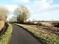 Section 61 - Away from the river, the path leaves Castle Eaton along Blackford Lane