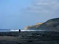 Black's Beach access from the North (Torrey Pines Beach)