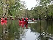 Image 2Boy Scouts canoeing on the Blackwater River, Virginia