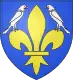 Coat of arms of Nouaillé-Maupertuis