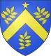 Coat of arms of Saint-Fiel