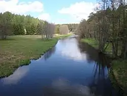 River Wda in Błędno