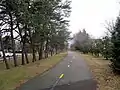 Trail south of Wilson Boulevard near North Edison Street, looking southwest. (January 2017)