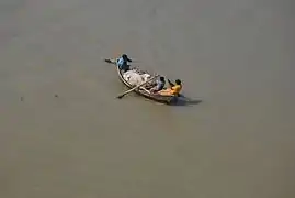 Boat on Karnaphuli River