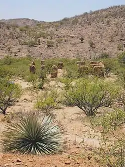 The adobe ruins of the Bond house in Alto. One room was used as a post office between 1907 and 1933.