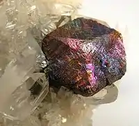 A specimen consisting of a bornite-coated chalcopyrite crystal nestled in a bed of clear quartz crystals and lustrous pyrite crystals. The bornite-coated crystal is up to 1.5&nbsp;cm across.