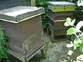 Disused beehives