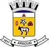 Official seal of Araçuaí