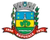 Official seal of Sapucaia