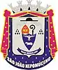 Official seal of São João Nepomuceno