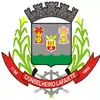 Official seal of Conselheiro Lafaiete