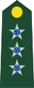 Brazilian Army(Capitão)