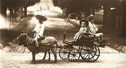Brazilian princes (from left to right) Luís, Antônio, and Pedro in a goat-drawn wagon, 1883