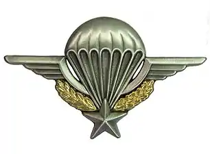 French Army Parachute Brevet.
