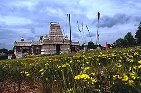 Sri Venkateswara Temple in Bridgewater Township