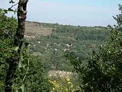 View from Buchukovtsi