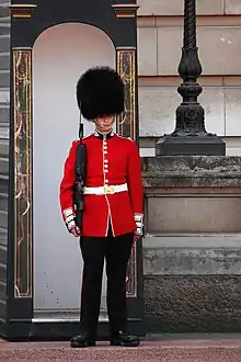 The iconic bearskins of the Queen's Guard at Buckingham Palace are made from the fur of American black bears.