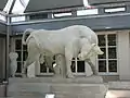 Dionysios of Kollitos bull