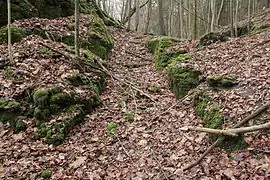 Image 7: Ditch-like depression in the neck ditch (Dec&nbsp;2014)