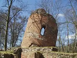 Ruins of Burg Galenbeck&nbsp;[de] in Galenbeck