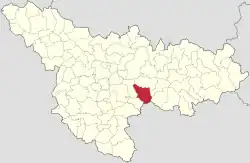 Location in Timiș County