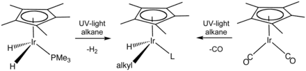 Skeletal formula presentation of a chemical transformation. The initial compounds have a C5H5 ring on their top and an iridium atom in the center, which is bonded to two hydrogen atoms and a P-PH3 group or to two C-O groups. Reaction with alkane under UV light alters those groups.