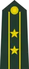 Lieutenant colonel
